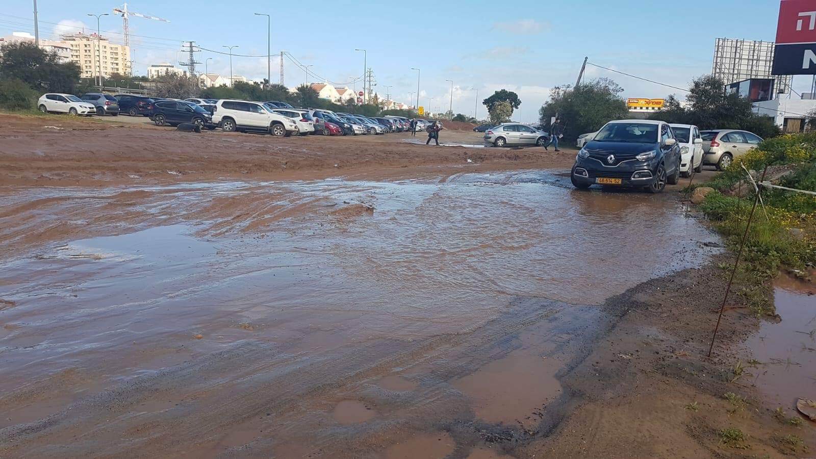 צילום: ערן עפרוני