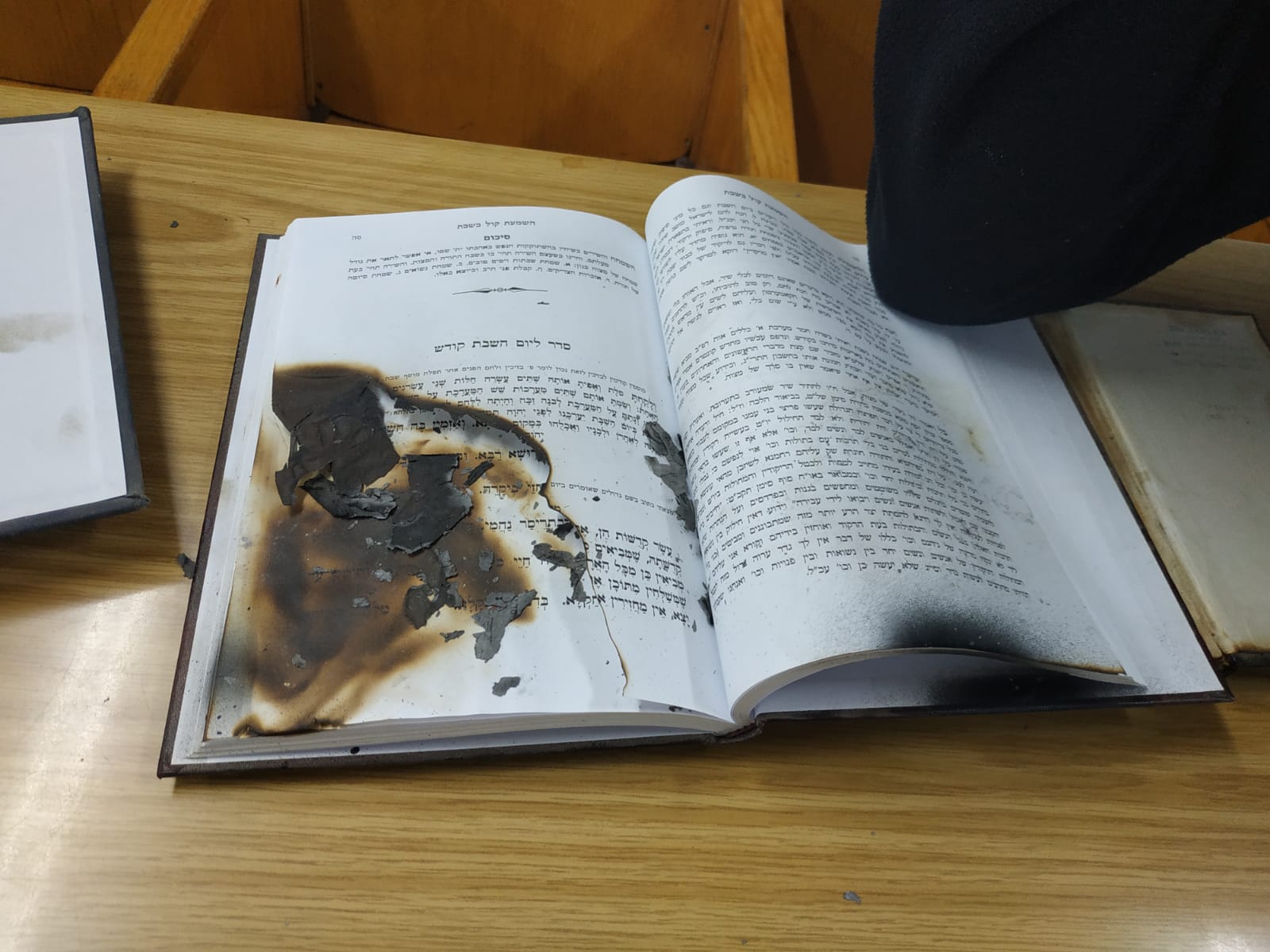 קרדית צילום: דוברות משטרת ישראל