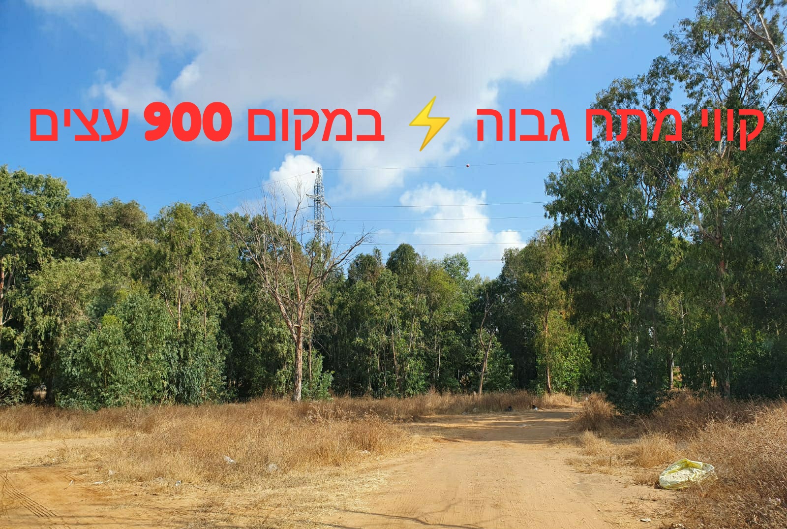 כביש