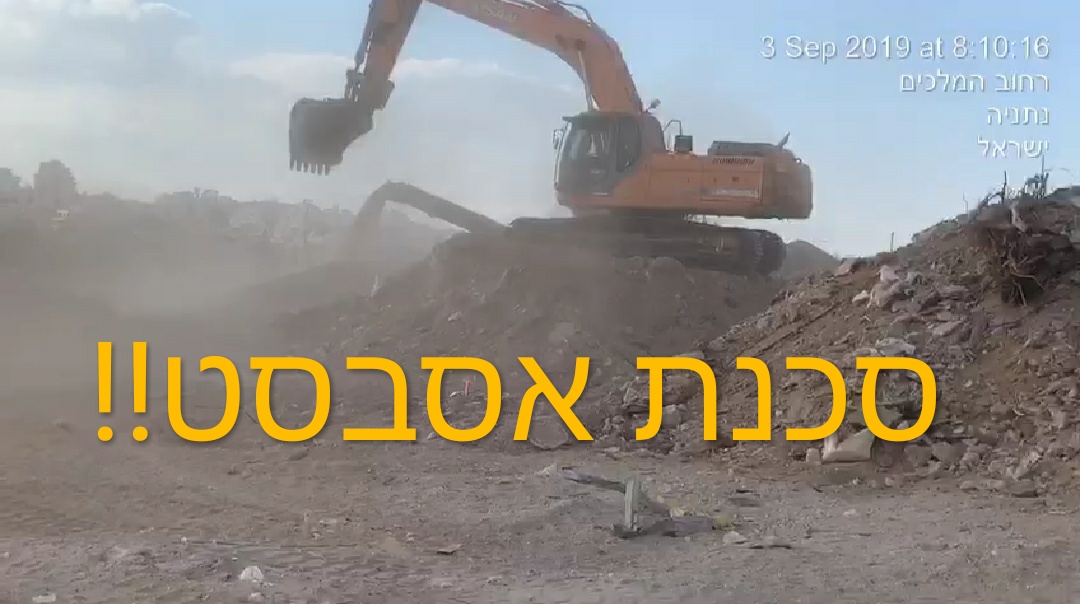 צילום: רני אלוש