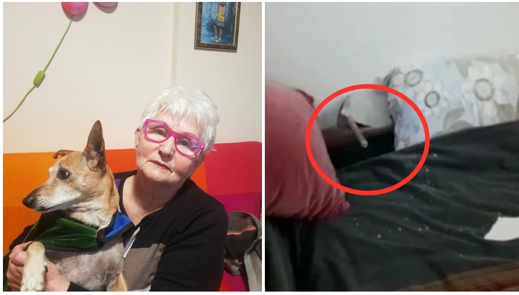 בזכות הנביחות של הכלב נמנע אסון, צילום: אורנה חושפת